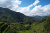 Ifugao rice terraces